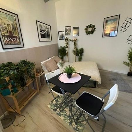 Le Petit Nid Apartment น็องต์ ภายนอก รูปภาพ